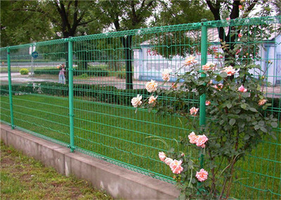 供應低價 價格合理的雙圈護欄網[廠家直銷]圖片|供應低價 價格合理的雙圈護欄網[廠家直銷]產品圖片由安平縣特蘭金屬絲網制造公司生產提供-