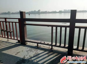 強烈譴責 鳳城公園沿江護欄頻遭破壞